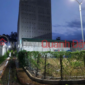 Owner selling house and land with existing swiftlet farm, area 1249m², in Nam Cat Tien, Tan Phu, Dong Nai. _0