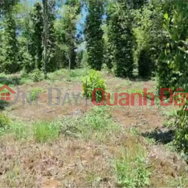 BEAUTIFUL LAND - Road Front Lot for Sale in Nghia Trung Ward, Gia Nghia, Dak Nong _0