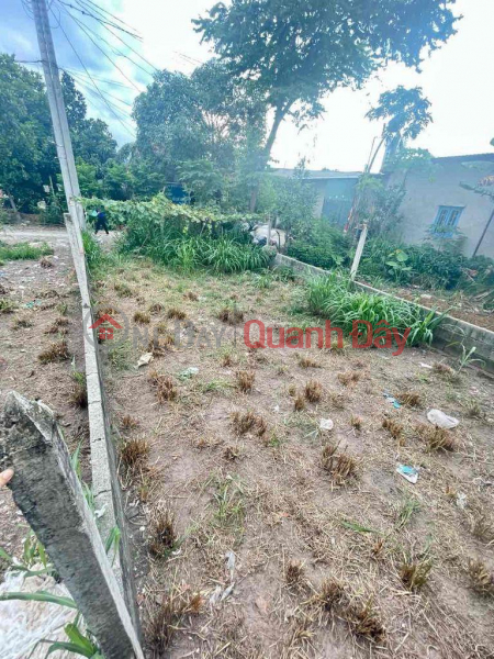 OWNER Needs To Sell Quickly Nice Plot Of Land In Cu Chi District, Ho Chi Minh City Vietnam, Sales, ₫ 1.6 Billion