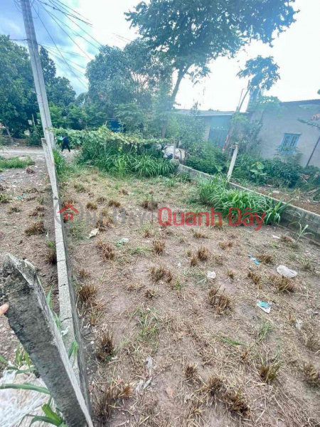 OWNER Needs To Sell Quickly Nice Plot Of Land In Cu Chi District, Ho Chi Minh City, Vietnam | Sales, đ 1.6 Billion