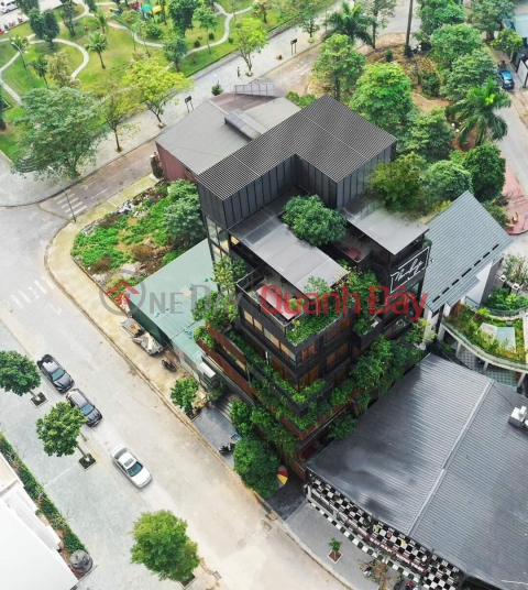 Auction villa for sale in Tu Hiep, Thanh Tri, 229m2, 4-frontage view, crowded population, business _0