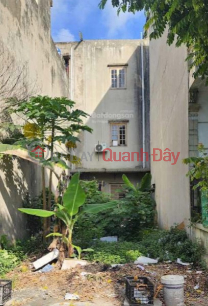 50m Lien Ninh land right next to Tu Khoat, Ngu Hiep, car access, price 5.6 billion Sales Listings