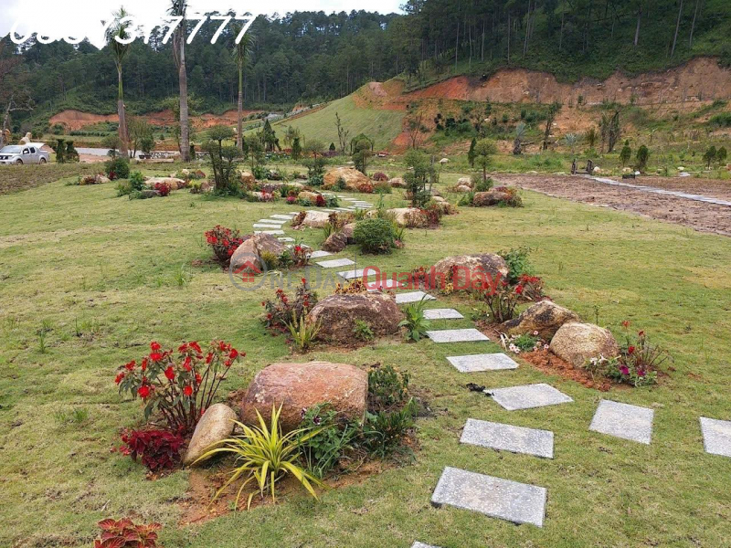 đ 10 Million GOLDEN OPPORTUNITY – PARTNERSHIP - TRANSFER OF A AGRICULTURAL TOURISM PROJECT IN LANGBIANG WARD, DA LAT