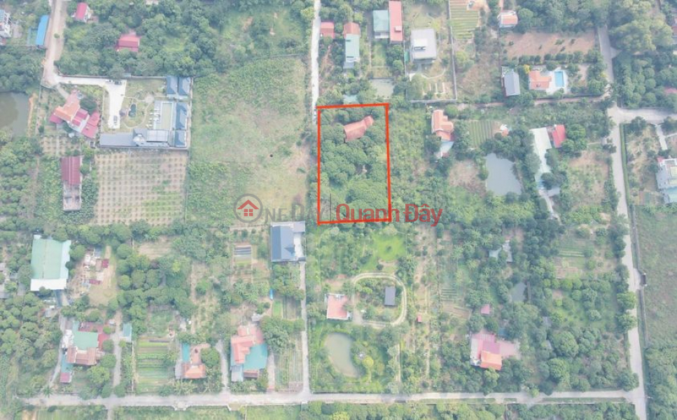 For sale 2200m2 plot with personal pink book in Lam Truong, Minh Phuc, Soc Son, Hanoi Sales Listings