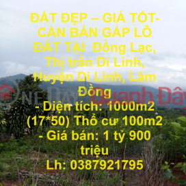 BEAUTIFUL LAND - GOOD PRICE - FOR URGENT LOT FOR SALE IN Dong Lac, Di Linh Town, Di Linh District, Lam Dong _0