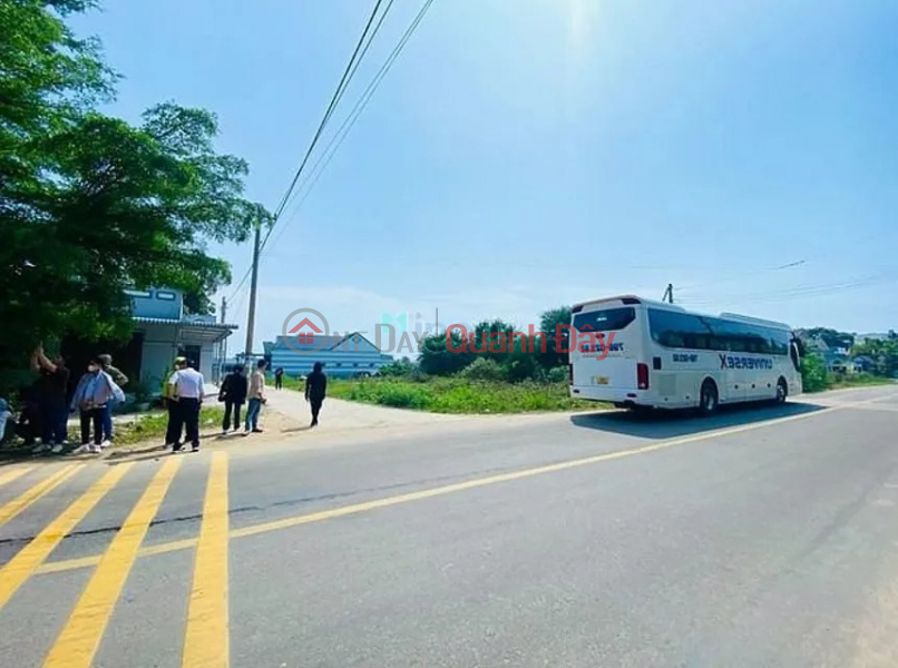 Quick Sale 105m2 Beach Land in Binh Thuan 29m Road Near Highway-Industrial Park-Seaport-Airport Sales Listings