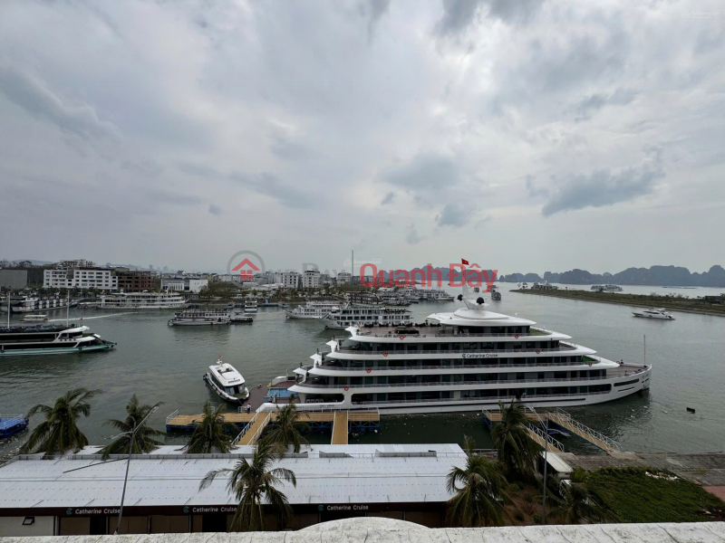 Property Search Vietnam | OneDay | Residential | Sales Listings, Owner needs to sell 2 Shophouses at good price in Tuan Chau, Ha Long (retail available)