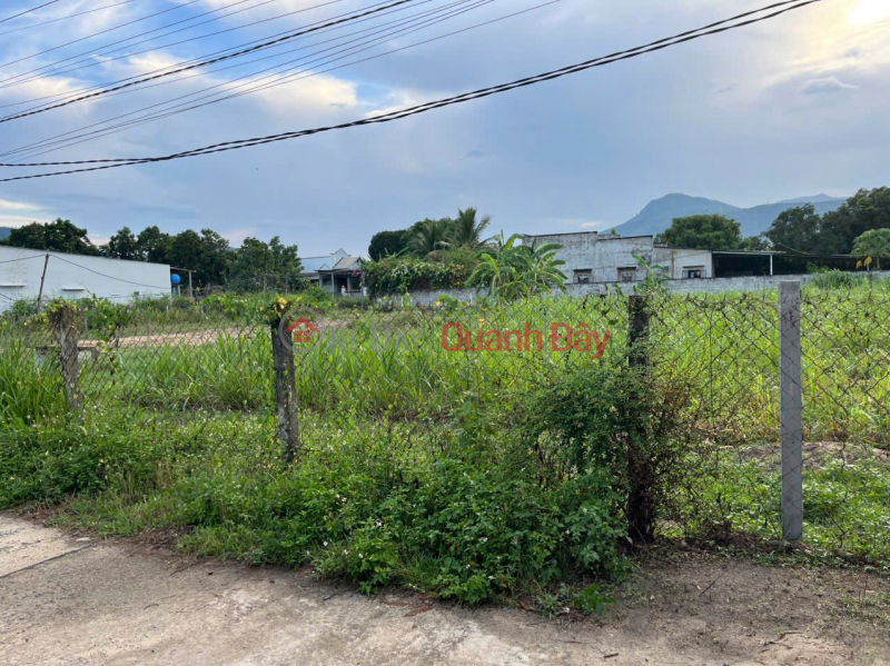 BEAUTIFUL LAND - GOOD PRICE - OWNER NEEDS TO QUICKLY SELL LOT OF LAND Cam Hiep Nam, Cam Lam, Khanh Hoa. Sales Listings