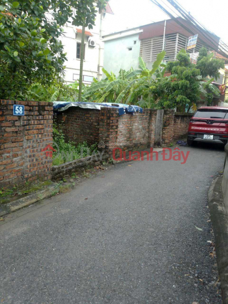 Property Search Vietnam | OneDay | Residential Sales Listings, Land for sale by owner in Dong Du, Gia Lam. 150m2, nice location, red book
