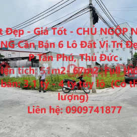 Beautiful Land - Good Price - BANKING OWNER For Sale 6 Lots Of Land With Beautiful Location In Tan Phu Ward, Thu Duc _0