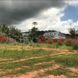BEAUTIFUL LAND - GOOD PRICE - Owner For Sale Or Rent A Land Lot Prime Location In Da Lat City, Lam Dong _0