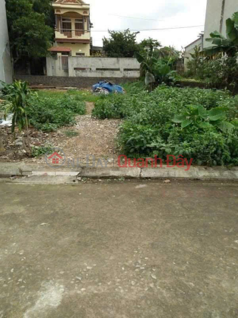 PRIME LAND – INVESTMENT PRICE – OWNER NEEDS TO SELL A PLOT OF LAND at GROUP 1, TAY SON, TAM DIEP, NINH BINH _0