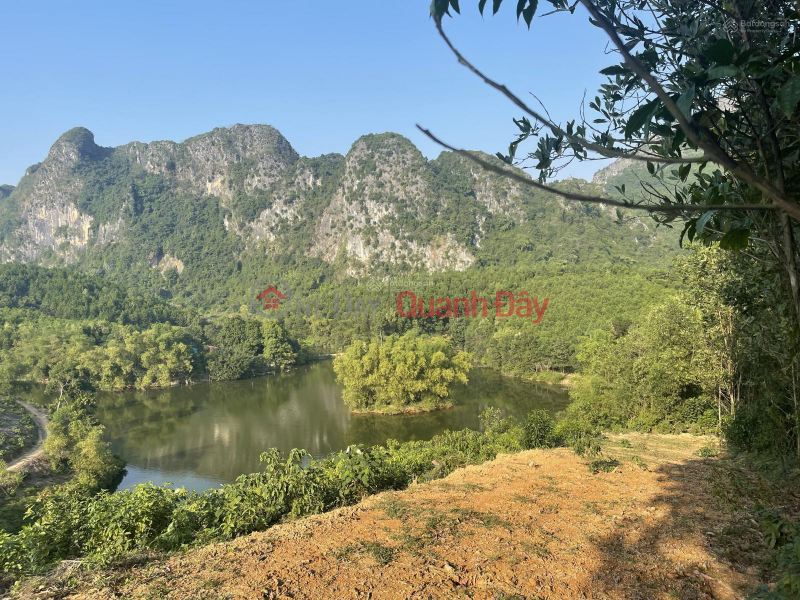 Property Search Vietnam | OneDay | Residential Sales Listings, The owner sold 3.1 hectares 200 meters away from the lake in Sao Bay, Kim Boi.