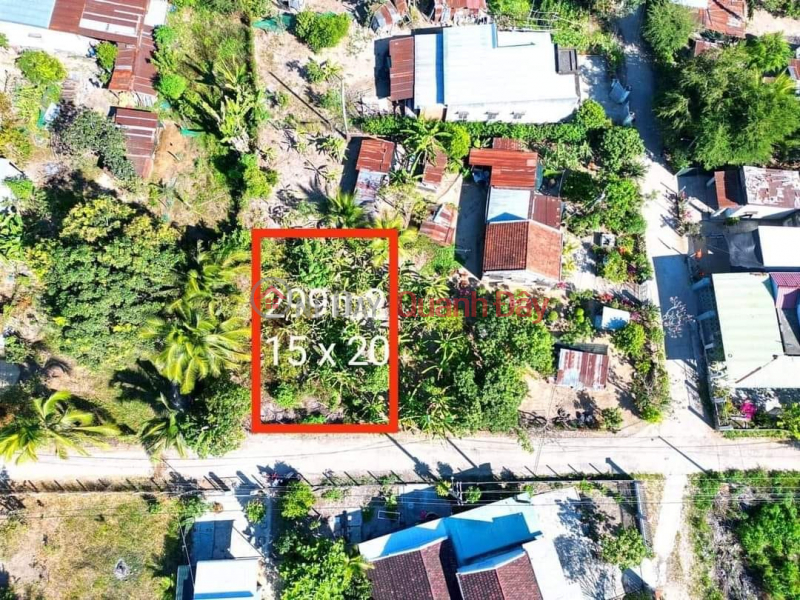 Property Search Vietnam | OneDay | Nhà ở | Niêm yết bán BÁN ĐẤT THÔN CÂY SUNG - XÃ DIÊN TÂN - HUYỆN DIÊN KHÁNH.