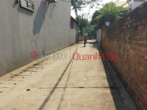 OPEN FOR SALE OF LAND LOT F0 FOR INVESTORS. Area: 60M2 Address: XUAN LE - TAN DAN - SOC SON - HANOI. _0