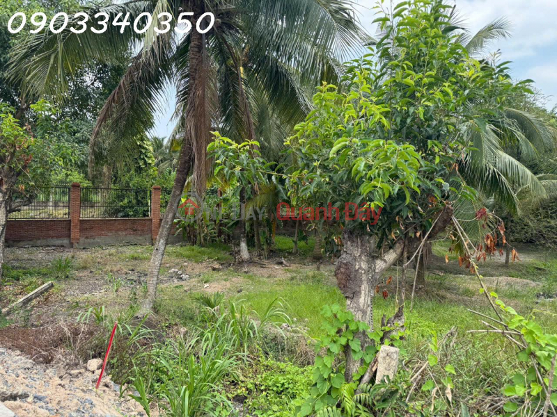 đ 58 tỷ Bán đất siêu đẹp mặt tiền bờ sông Sài Gòn tại Đông Thạnh, DT 1500 m2, giá 58 tỷ