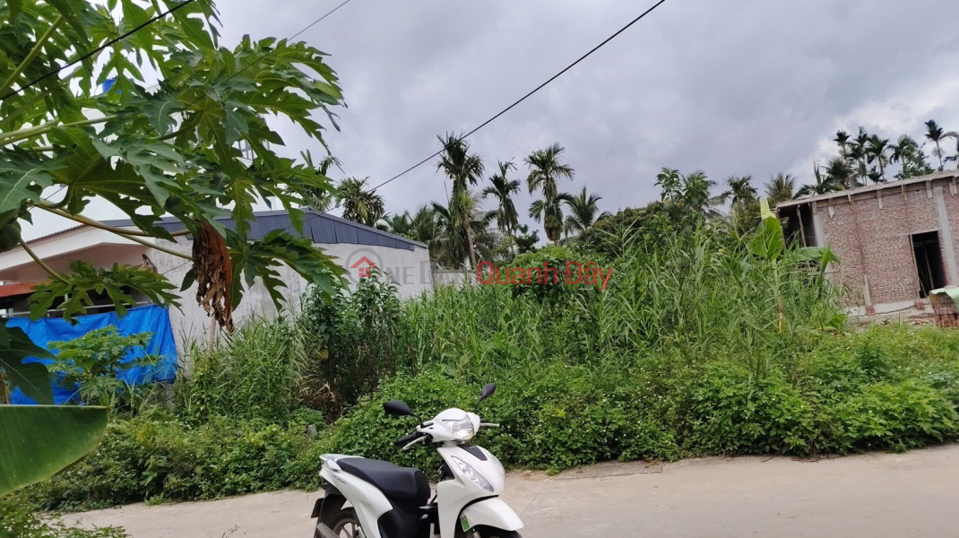 Property Search Vietnam | OneDay | Nhà ở | Niêm yết bán, Bán đất đẹp Thôn An Tứ, Tiên Lãng, Hải Phòng - Vị trí tiềm năng, khu dân cư đông đúc - Giá tốt