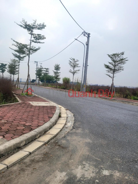 Property Search Vietnam | OneDay | Residential | Sales Listings Selling 2000m of land in Thang Loi Quat Dong Industrial cluster near Thanh Tri for only 9..x million\\/m2