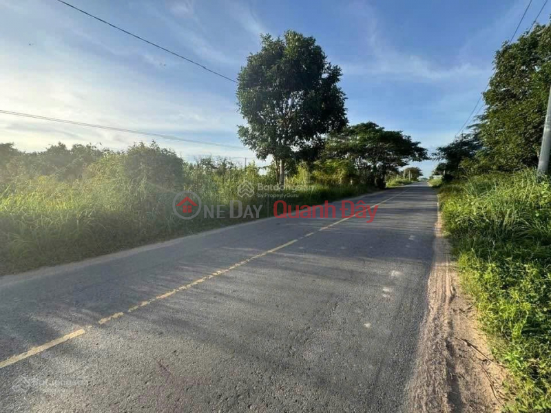 Bán ĐẤT CHÍNH CHỦ Đường Lộ 785C Xã Tân Hà, Huyện Tân Châu, Tây Ninh Niêm yết bán