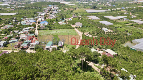 Liquidation of the last plot of land planned by Me Linh in Da Lat City is only 860 million _0