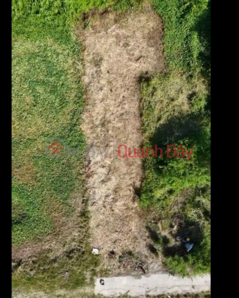 đ 2.05 Billion, HOT DEAL! PRIME LAND FOR SALE - OWNER NEEDS TO SELL LAND in Hung Long Commune, Binh Chanh District, Ho Chi Minh City