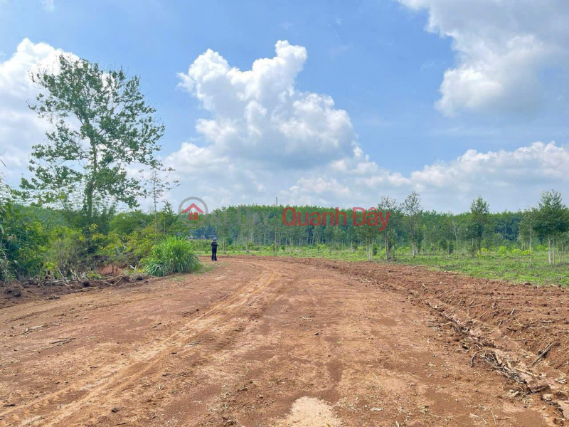 HOT HOT – OWNER NEEDS TO SELL LAND LOT in beautiful location in Dong Tien Commune, Dong Phu, Binh Phuoc Sales Listings