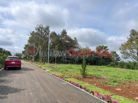 Bán đất xã liên hiệp đức trọng 970 triệu- sổ riêng đất xây dựng _0