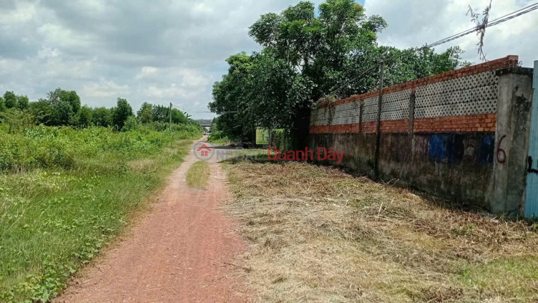 đ 3.3 Billion | PROFITABLE INVESTMENT – NEARLY 1,000M² GARDEN LAND FOR SALE, Tam Da Street, Long Phuoc Ward, District 9, Ho Chi Minh City