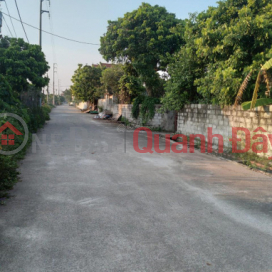 Selling 1000m2 of land in Duyen Ha Thanh Tri for about 1 billion. _0