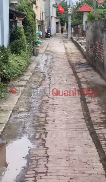 Mở bán 4 lô đất đẹp F0 Quang Lãng, Phú Xuyên - Diện tích 80m2, giá chỉ nhỉnh 2 tỷ, full tiện ích Việt Nam Bán, đ 2,48 tỷ