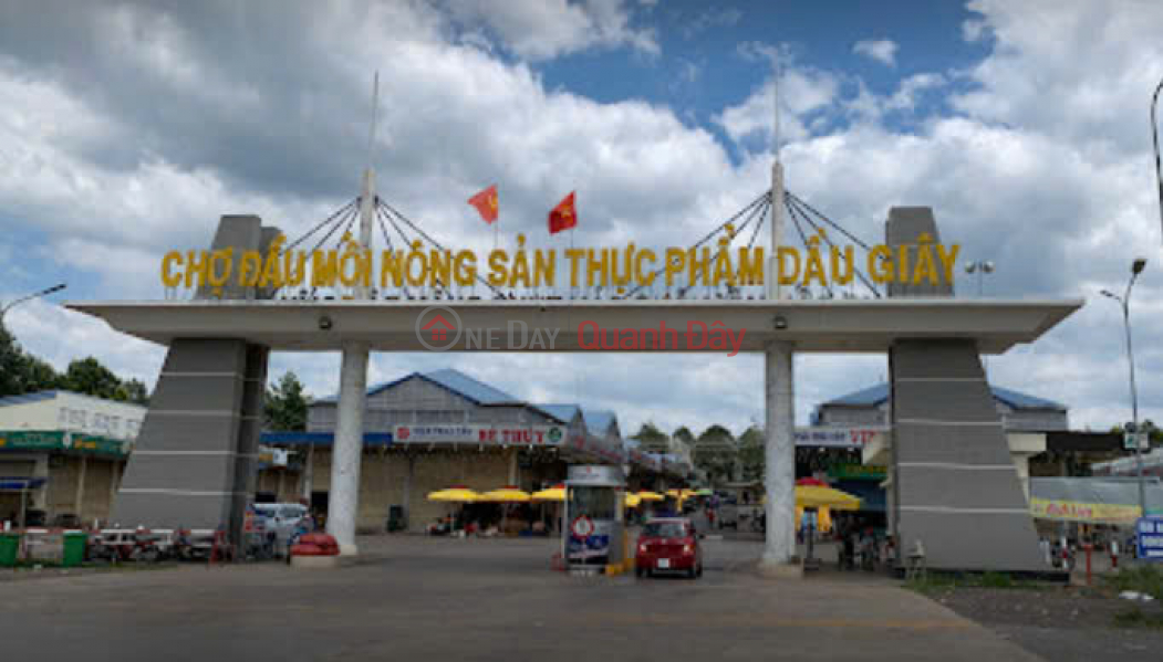 Land plots in The Link City urban area – Dau Giay center, high potential for price appreciation. Sales Listings