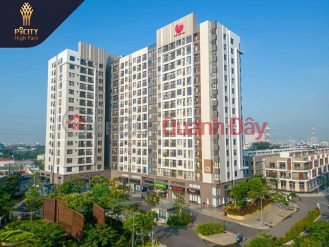 Why should you buy Park 1 and Park 2 apartments in Picity- Thanh Xuan, District 12? _0