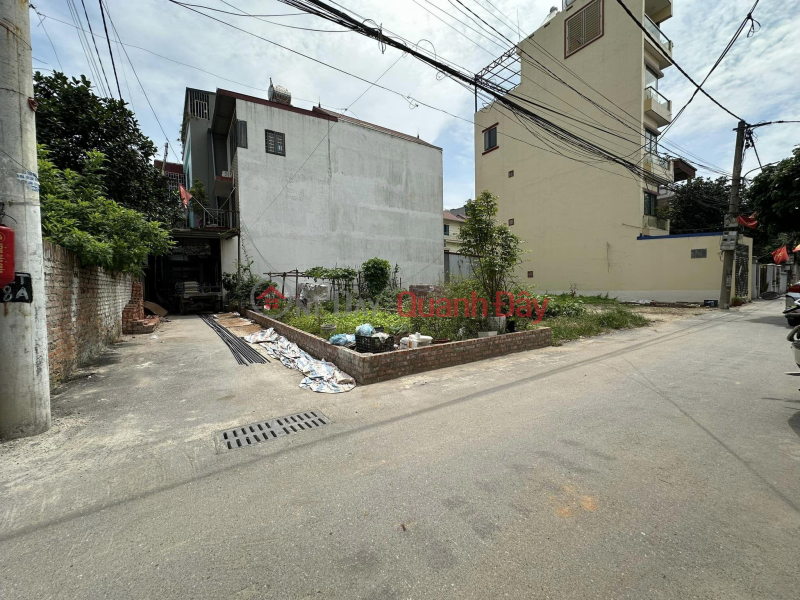 Item F0 EXTREMELY RARE Lam Tien Nguyen Khe Dong Anh, corner lot with 2 road sides, 56.6m2, 2-car parking lot in front. | Vietnam Sales, đ 2.89 Billion