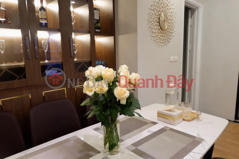 Apartment for rent in CC The Emerald Dinh Thon, NTL 115m2 3 bedrooms full furniture Nice like Hotel 23 million VND _0