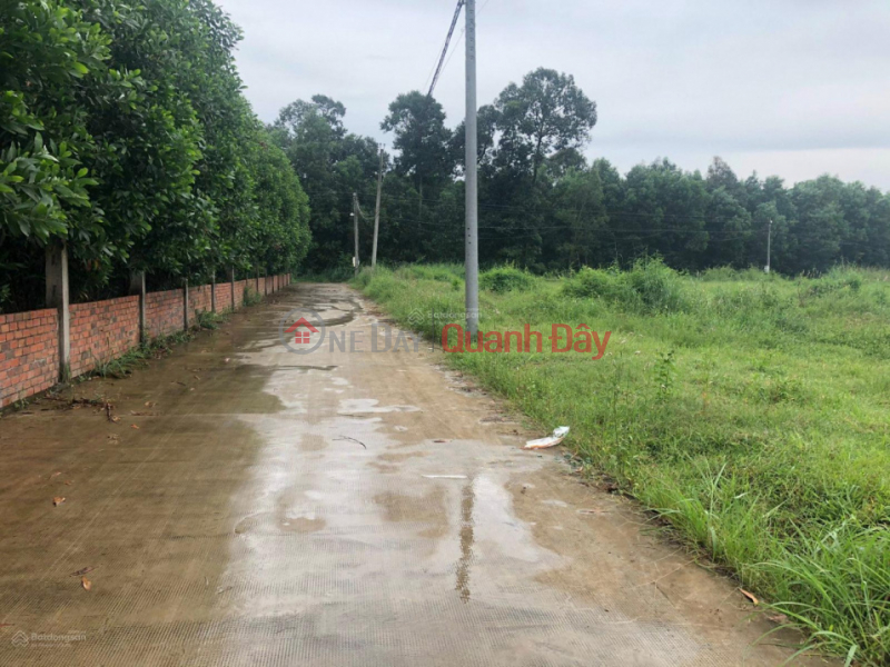 Property Search Vietnam | OneDay | | Niêm yết bán Sang nhượng gấp lô đất tại mặt tiền đường Lý Thái Tổ, xã Long Tân, huyện Nhơn Trạch, tỉnh Đồng Nai.