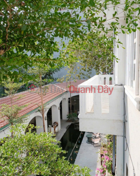 Villa cổ 2 tầng + Coffee Đ.10m 970m2, SHR Nở hậu – Dương Quảng Hàm Gò Vấp SS Việt Nam, Bán, đ 99 tỷ