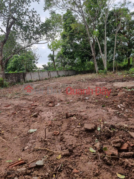 Land for sale in Hoang Dieu commune, Chuong My. Land area 336m2, Vietnam | Sales | đ 3.19 Billion