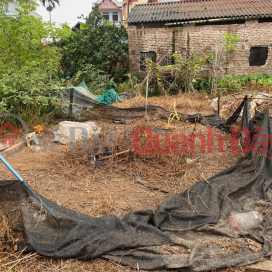 Bán 50m đất Tráng Việt, Mê Linh, HN. Đường thông, oto đỗ đất. Gần dự án cầu Thượng Cát _0