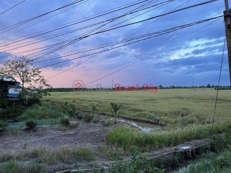 đ 8 Billion PRIMARY LAND - GOOD PRICE - Only in Hamlet 1 Long Thanh, Thu Thua - Long An