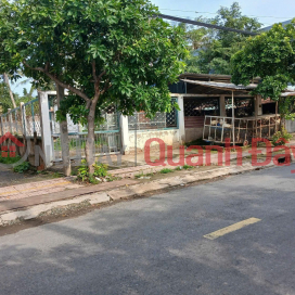 PROFITABLE INVESTMENT – OWNER NEEDS TO SELL 3 PLOTS OF LAND in Phuoc Van Commune, Can Duoc District, Long An Province _0