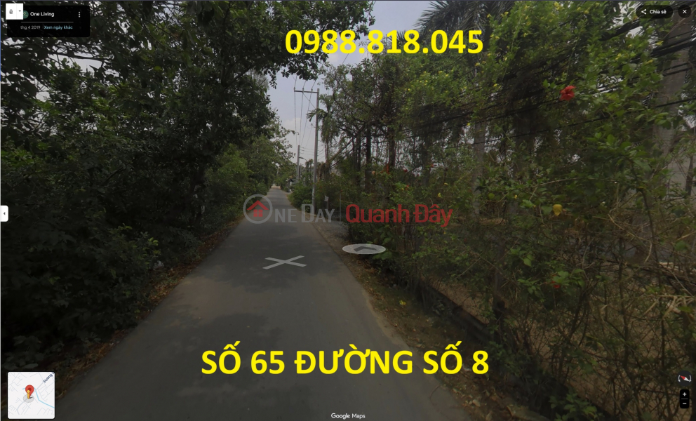 Bán đất đường số 8 phường Trường Thạnh , quận 9 (nay là quận Thủ Đức),TP. HCM, 2215m2, MT 38m, ô tô tránh, Việt Nam | Bán | đ 70 tỷ