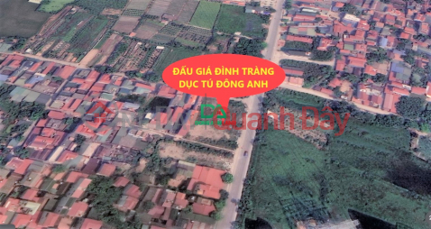 Land for sale at Dinh Trang Duc Tu Dong Anh Auction House 83.68m, corner lot of business street _0