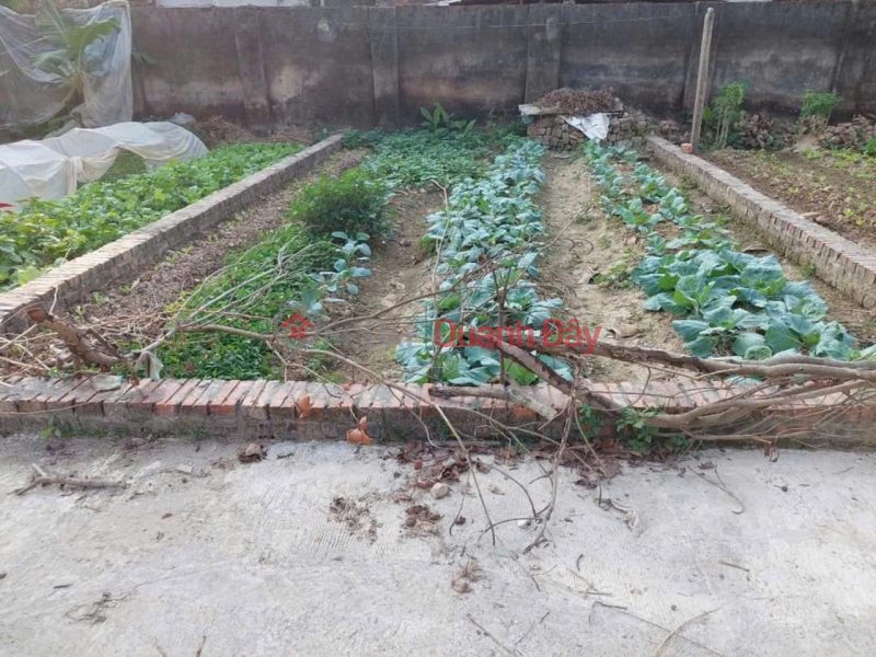 Bán đất Tráng Việt - Mê Linh - HN. Full thổ cư, oto đỗ. Gần cầu Thượng Cát. Cơ hội đầu tư đẹp Niêm yết bán