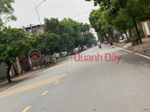OWN A LOT OF LAND ON NGUYEN VAN LINH STREET - A GOLDEN LOCATION FOR RESIDENCE AND INVESTMENT _0
