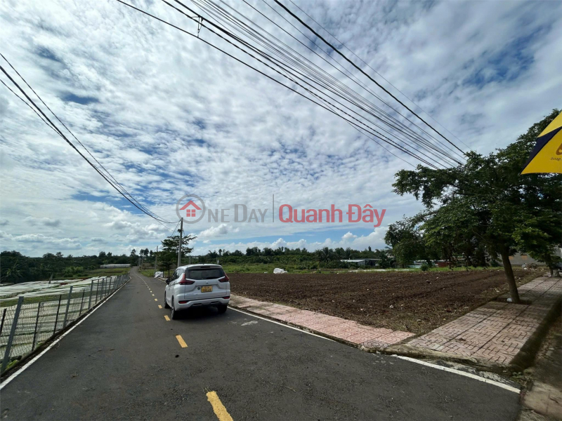 Beautiful Land - Good Price - Owner Needs to Sell a Lot of Land in a Beautiful Location, Frontage DT769 Right at the Gate of Long Thanh Airport Sales Listings