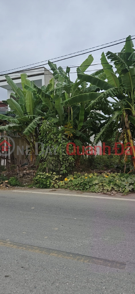 ADJACENT LAND LOT FOR SALE IN DONG HUNG TOWN, PRICE 1.23 BILLION, NEGOTIABLE Sales Listings