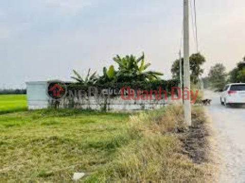 Land for sale at road number 20, Lac Tanh town, Tanh Linh district, Binh Thuan province. _0