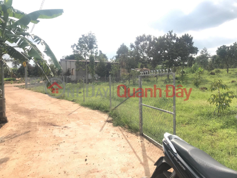 Đất sào (TUANCONGDANG-932683654)_0