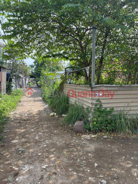 OWNER Quickly Sells Corner Lot With 2 Alley Frontages In Hamlet 3, Binh Hung Commune, Binh Chanh, HCMC | Vietnam | Sales đ 28 Million