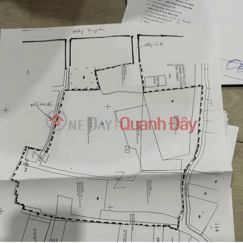 PRIME LAND – GOOD PRICE – OWNER WANTS TO RENT OR SELL A LARGE PLOT OF 18,000m2 (1.8ha) IN BINH MY COMMUNE, HO CHI MINH CITY _0